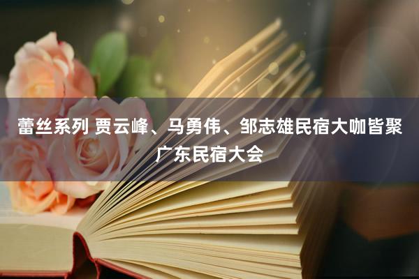 蕾丝系列 贾云峰、马勇伟、邹志雄民宿大咖皆聚广东民宿大会