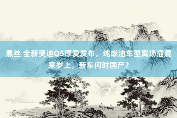 黑丝 全新奥迪Q5厚爱发布，纯燃油车型离场插混来岁上，新车何时国产？