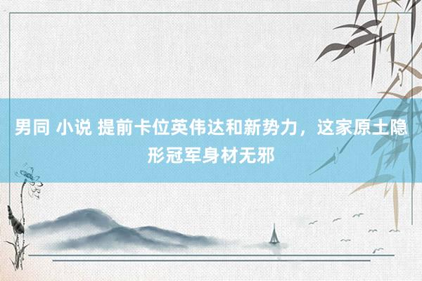 男同 小说 提前卡位英伟达和新势力，这家原土隐形冠军身材无邪
