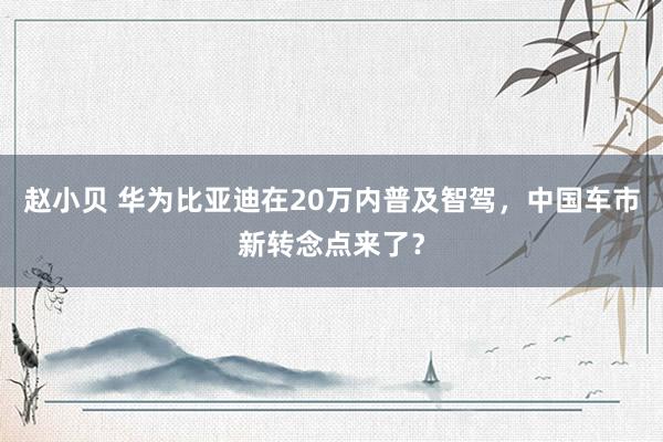 赵小贝 华为比亚迪在20万内普及智驾，中国车市新转念点来了？