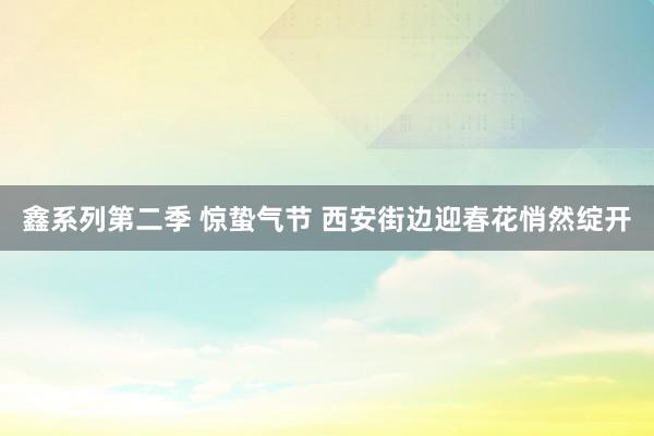 鑫系列第二季 惊蛰气节 西安街边迎春花悄然绽开