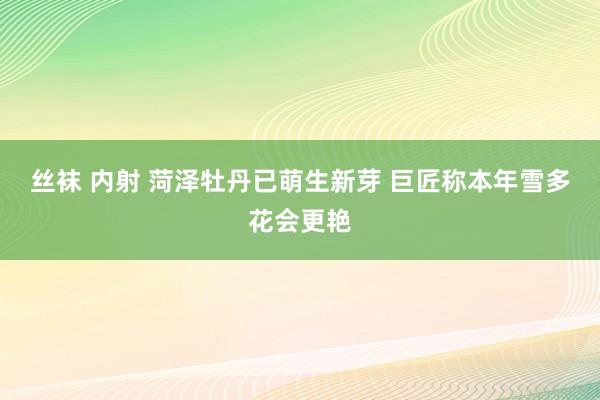 丝袜 内射 菏泽牡丹已萌生新芽 巨匠称本年雪多花会更艳