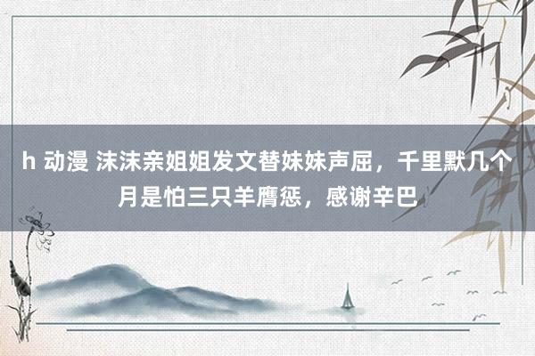 h 动漫 沫沫亲姐姐发文替妹妹声屈，千里默几个月是怕三只羊膺惩，感谢辛巴