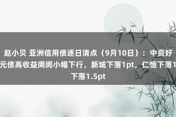 赵小贝 亚洲信用债逐日清点（9月10日）：中资好意思元债高收益阛阓小幅下行，新城下落1pt，仁恒下落1.5pt
