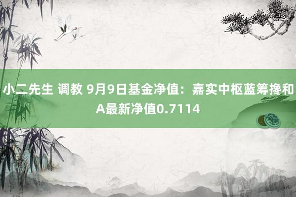 小二先生 调教 9月9日基金净值：嘉实中枢蓝筹搀和A最新净值0.7114