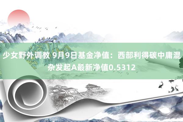 少女野外调教 9月9日基金净值：西部利得碳中庸混杂发起A最新净值0.5312