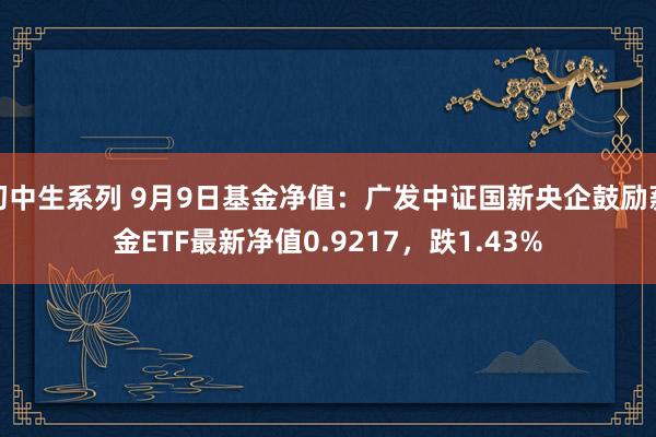 初中生系列 9月9日基金净值：广发中证国新央企鼓励薪金ETF最新净值0.9217，跌1.43%