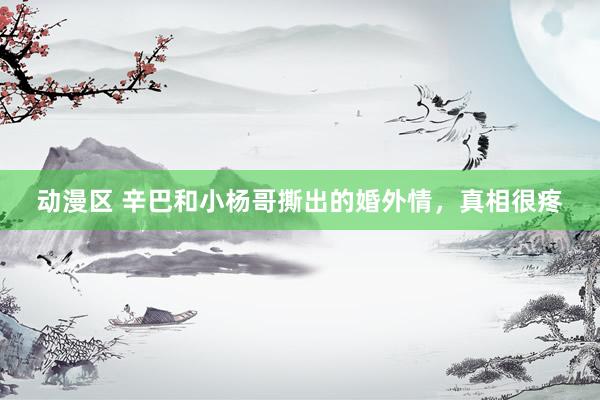动漫区 辛巴和小杨哥撕出的婚外情，真相很疼