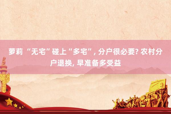 萝莉 “无宅”碰上“多宅”， 分户很必要? 农村分户退换， 早准备多受益