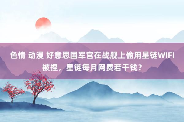 色情 动漫 好意思国军官在战舰上偷用星链WIFI被捏，星链每月网费若干钱？
