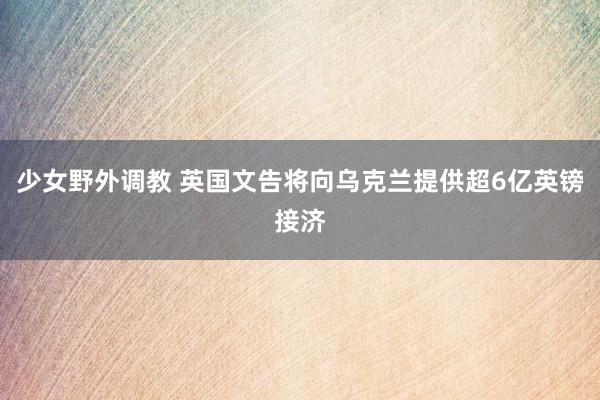 少女野外调教 英国文告将向乌克兰提供超6亿英镑接济