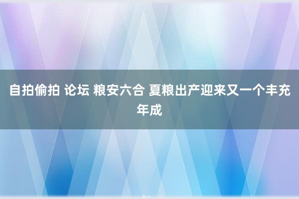 自拍偷拍 论坛 粮安六合 夏粮出产迎来又一个丰充年成