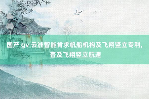 国产 gv 云洲智能肯求帆船机构及飞翔竖立专利， 普及飞翔竖立航速