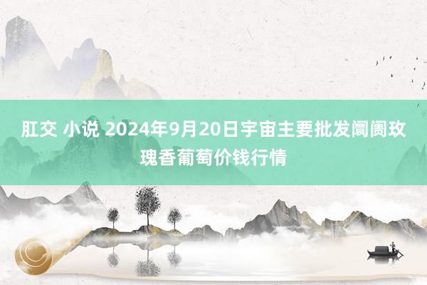 肛交 小说 2024年9月20日宇宙主要批发阛阓玫瑰香葡萄价钱行情