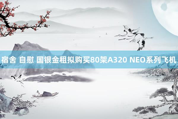宿舍 自慰 国银金租拟购买80架A320 NEO系列飞机