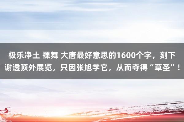 极乐净土 裸舞 大唐最好意思的1600个字，刻下谢透顶外展览，只因张旭学它，从而夺得“草圣”！