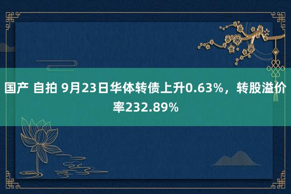 国产 自拍 9月23日华体转债上升0.63%，转股溢价率232.89%