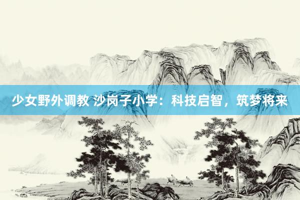 少女野外调教 沙岗子小学：科技启智，筑梦将来