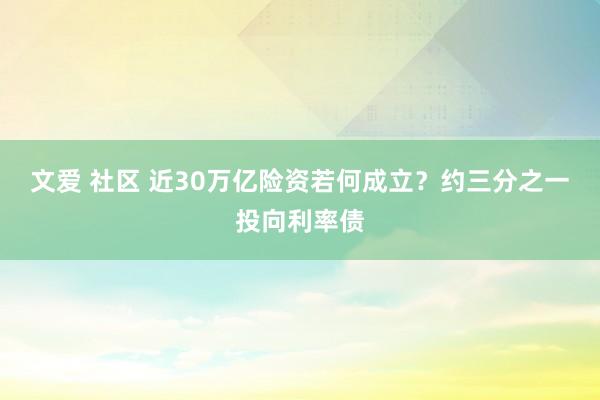 文爱 社区 近30万亿险资若何成立？约三分之一投向利率债