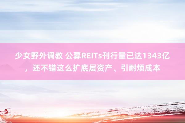 少女野外调教 公募REITs刊行量已达1343亿，还不错这么扩底层资产、引耐烦成本