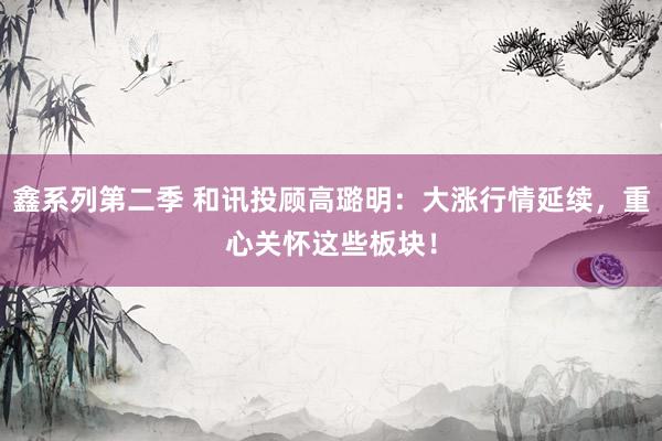 鑫系列第二季 和讯投顾高璐明：大涨行情延续，重心关怀这些板块！