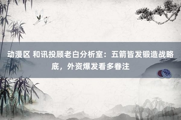 动漫区 和讯投顾老白分析室：五箭皆发锻造战略底，外资爆发看多眷注