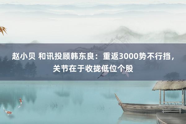 赵小贝 和讯投顾韩东良：重返3000势不行挡，关节在于收拢低位个股