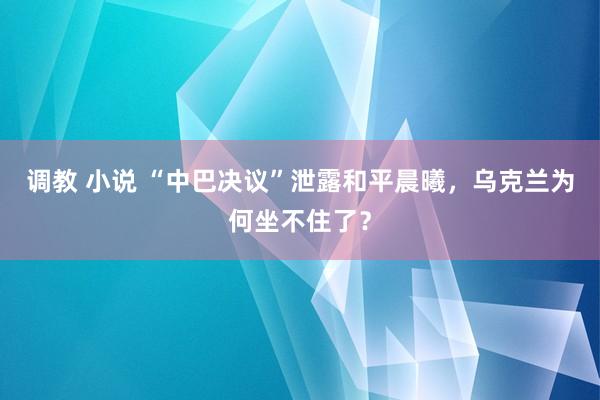 调教 小说 “中巴决议”泄露和平晨曦，乌克兰为何坐不住了？