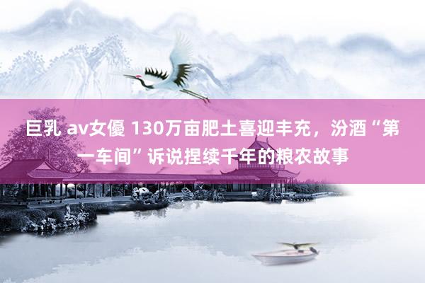 巨乳 av女優 130万亩肥土喜迎丰充，汾酒“第一车间”诉说捏续千年的粮农故事