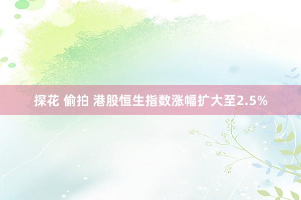 探花 偷拍 港股恒生指数涨幅扩大至2.5%