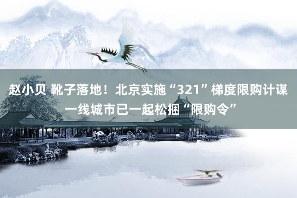 赵小贝 靴子落地！北京实施“321”梯度限购计谋 一线城市已一起松捆“限购令”