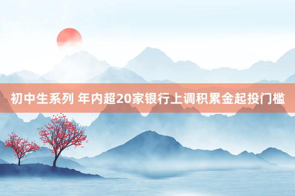 初中生系列 年内超20家银行上调积累金起投门槛