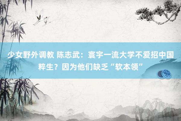 少女野外调教 陈志武：寰宇一流大学不爱招中国粹生？因为他们缺乏“软本领”