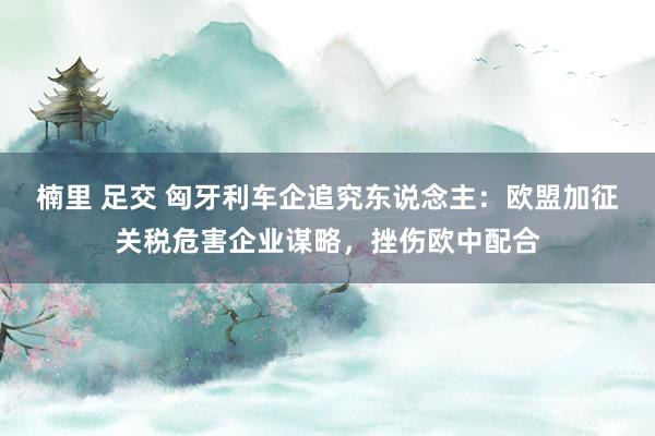 楠里 足交 匈牙利车企追究东说念主：欧盟加征关税危害企业谋略，挫伤欧中配合