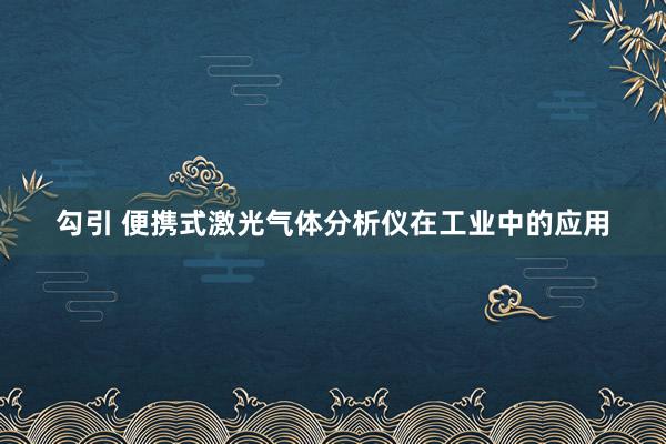 勾引 便携式激光气体分析仪在工业中的应用