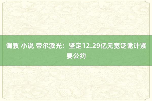 调教 小说 帝尔激光：坚定12.29亿元宽泛诡计紧要公约