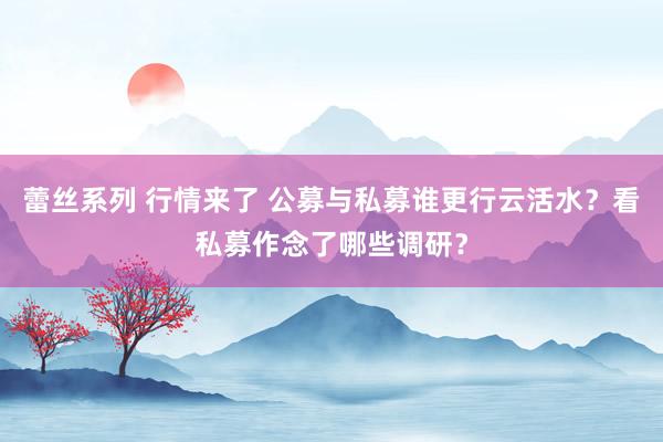 蕾丝系列 行情来了 公募与私募谁更行云活水？看私募作念了哪些调研？