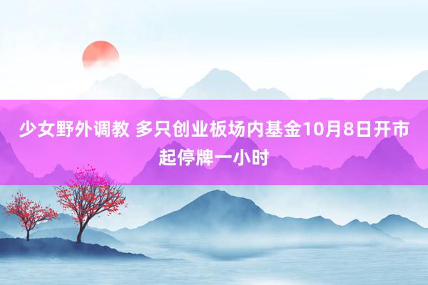 少女野外调教 多只创业板场内基金10月8日开市起停牌一小时