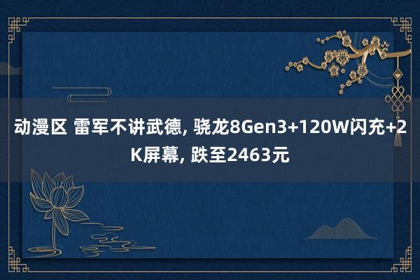 动漫区 雷军不讲武德， 骁龙8Gen3+120W闪充+2K屏幕， 跌至2463元