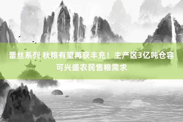 蕾丝系列 秋粮有望再获丰充！主产区3亿吨仓容可兴盛农民售粮需求