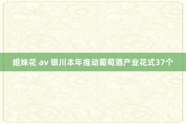 姐妹花 av 银川本年推动葡萄酒产业花式37个