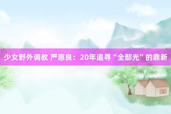 少女野外调教 严惠良：20年追寻“全部光”的鼎新