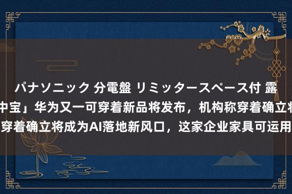 パナソニック 分電盤 リミッタースペース付 露出・半埋込両用形 「盘中宝」华为又一可穿着新品将发布，机构称穿着确立将成为AI落地新风口，这家企业家具可运用于智能穿着规模