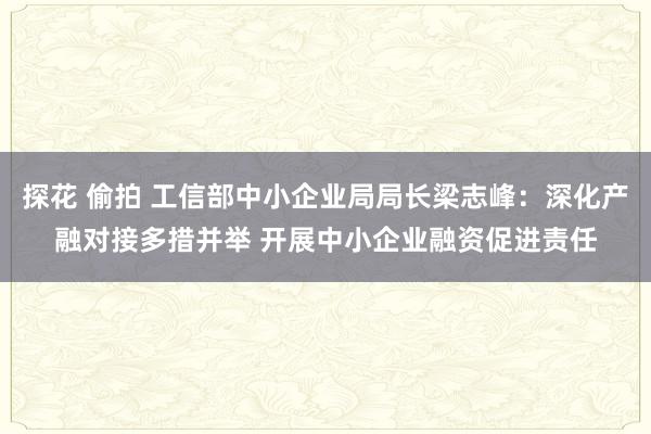 探花 偷拍 工信部中小企业局局长梁志峰：深化产融对接多措并举 开展中小企业融资促进责任