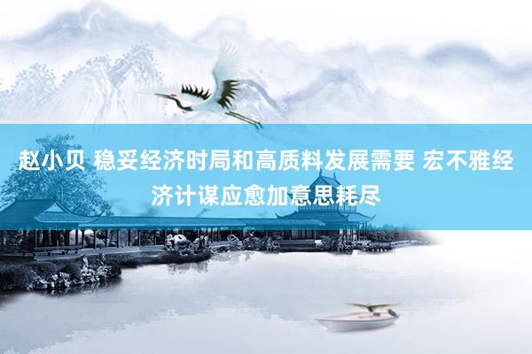 赵小贝 稳妥经济时局和高质料发展需要 宏不雅经济计谋应愈加意思耗尽