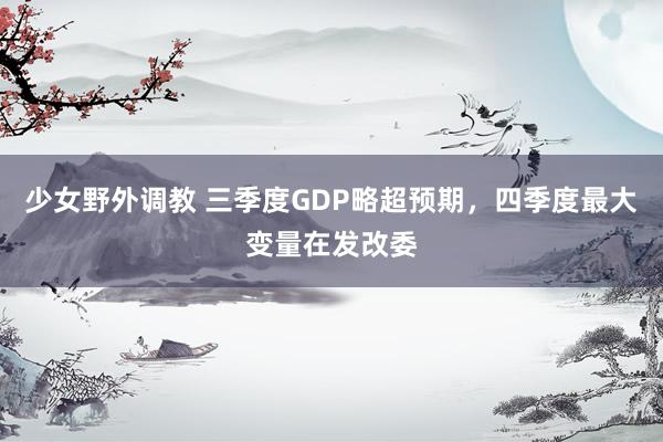 少女野外调教 三季度GDP略超预期，四季度最大变量在发改委