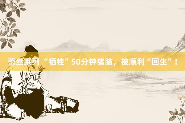 蕾丝系列 “牺牲”50分钟猪脑，被顺利“回生”！