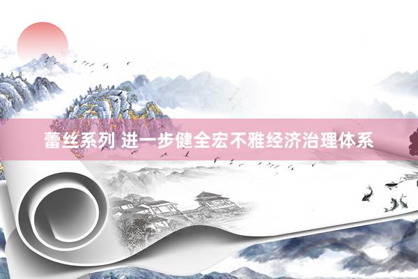 蕾丝系列 进一步健全宏不雅经济治理体系