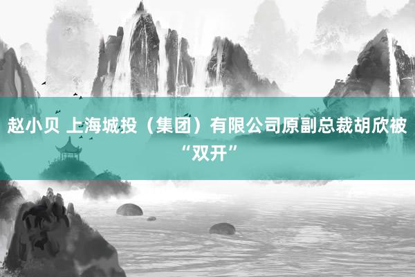 赵小贝 上海城投（集团）有限公司原副总裁胡欣被“双开”