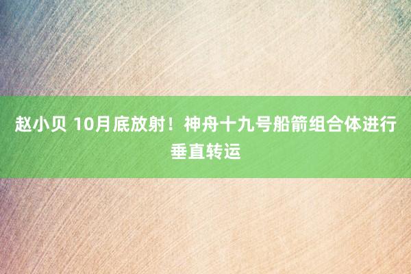 赵小贝 10月底放射！神舟十九号船箭组合体进行垂直转运